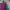 Windbreaker colorblok photo 9