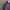 Windbreaker colorblok photo 6
