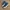 CONVERSE ASYLUM HIGH SECOND 40.5 photo 3