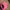 Nike Running Pink Hat Cap Strapback Embroidered photo 5