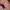 Nike Running Pink Hat Cap Strapback Embroidered photo 3