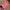 Nike Running Pink Hat Cap Strapback Embroidered photo 1