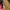 Nike Running Pink Hat Cap Strapback Embroidered photo 9