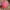 Nike Running Pink Hat Cap Strapback Embroidered photo 7
