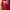 DADA SUPREME photo 3