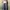 SEANJOHN DOUBLE KNE CARPENTER RARE photo 1