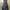 SEANJOHN DOUBLE KNE CARPENTER RARE photo 2