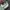 Onitsuka Tiger Gorpcore Casual Sneakers Pria green photo 5