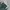 Celana Dickies Work Pants Green photo 4