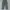 Celana Dickies Work Pants Green photo 2