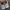New Balance Gorpcore Casual Sneakers Pria white gray photo 6