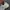 New Balance Gorpcore Casual Sneakers Pria white gray photo 5