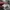 New Balance Gorpcore Casual Sneakers Pria white gray photo 8