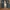 Batsu Denim Pants photo 5