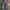 Blue Moon Blue Denim Pants photo 3