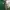 Adidas Sportswear Casual Sweatshirt Pria White Green Red