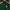 Adidas Sportswear Casual Sweatshirt Pria white green red photo 3