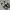 Converse One Star Leather 35/22cm photo 2