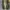 Converse One Star Leather 35/22cm photo 7