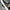 Converse One Star Leather 35/22cm photo 4
