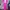 Setelan Jas Wanita H&m Pink / Blazer