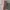 Charles and Keith Pink Tote Bag / Tas Handbag Pink photo 3