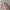 Charles And Keith Pink Tote Bag / Tas Handbag Pink