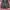 ANAKORCODE photo 1