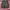 ANAKORCODE photo 2