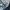 Adidas Sportswear Casual Hoody Pria white gray blue photo 6