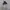 Buzz Ricksons Vest Fur Hoddie/ Iner N2B photo 3