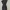 Bebe Black Ruffled Dress photo 4