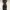 Bebe Black Ruffled Dress photo 1