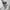 Japanese brand Casual Casual shirt Pria white photo 7