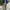 Uknown Brand Cargopants Green Military photo 1