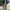Uknown Brand Cargopants Green Military