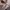 American Eagle Luxury Casual Pea coat Wanita brown photo 6