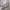 Mahagrid Sweater Crewneck Grey photo 5