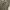 Dress Graphis photo 2
