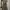 Dress Graphis photo 1