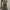 Dress Graphis