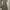 Dress Graphis photo 3