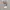 Crewneck Spao x Cartoon Netword We Bare Bears photo 6