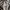 Nett Burberry Supernova alverton Studded Tote Hobo bag photo 5