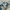 Chinese Full Print Art Cheongsam Shirt   photo 7