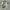Chinese Full Print Art Cheongsam Shirt   photo 2