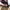 CONVERSE ALLSTAR FEAR OF GOD photo 9