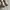 CONVERSE ALLSTAR FEAR OF GOD photo 5