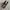 CONVERSE ALLSTAR FEAR OF GOD photo 1