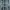 PPFM The Beatles Experienced Longsleeve photo 8